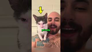 Cat Owners Have No Private Space