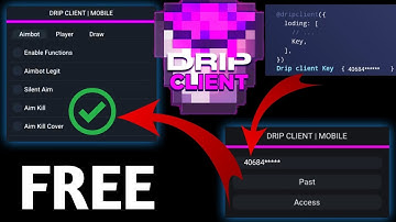Drip Client key /Drip Client Key /mod manu password/headshort hack/free fire hack/key/key/Mod manu