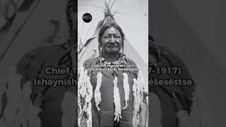 Two Moons: The Cheyenne Chief Who Changed History  #nativeamerican  #indigenous #littlebighorn