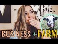 I&#39;m Hiring + Baby Cows! // Business &amp; Farm Life Vlog