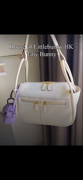 The House of Little Bunny: Brick Bag #shorts 