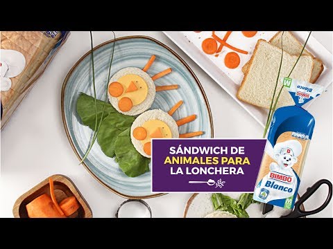 Video: Sándwiches De Animales Para El Desayuno