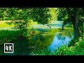 😌 Release Stress, Find Serenity: 10 Hours of Stream White Noise for Deep Relaxation