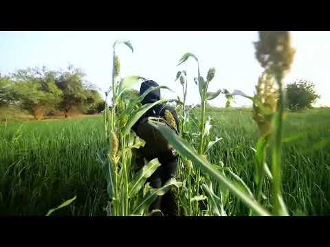 قلبي اطمأن شارة البرنامج الجزء الأول