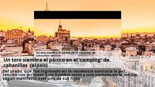 Un toro siembra el panico en el camping de cabanillas (elpais)