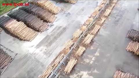 IPAB 6000 - Timmersortering, Log Sorting Line. Hållanders Sågverk AB