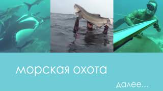 Ночная морская подводная охота на Каспии ,Азербайджан. Часть 2