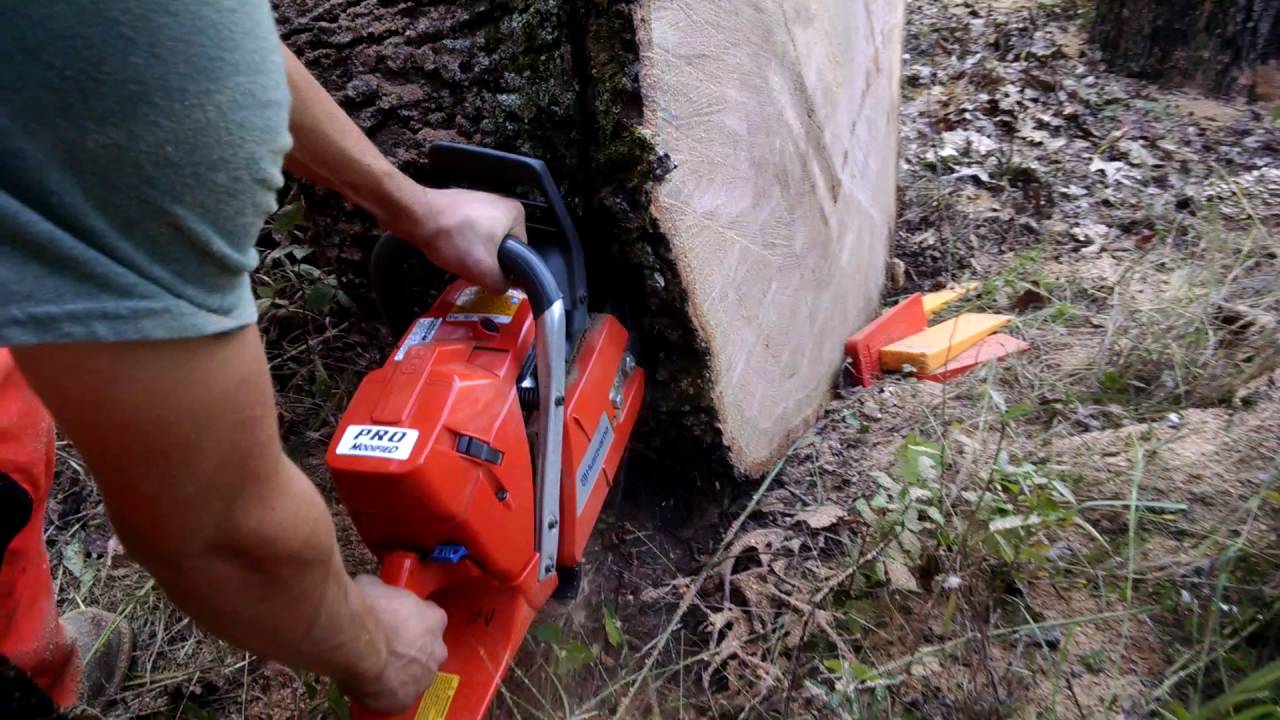 Husqvarna 372xp cutting big wood YouTube