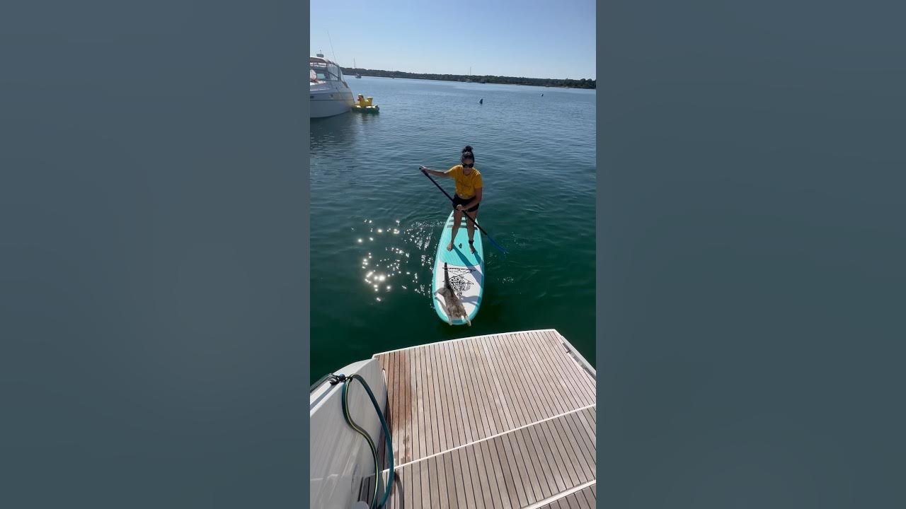 Squid The Explorer, Sailing Bengal Kitten! 🐾😽 seacatz catamaran YouTube
