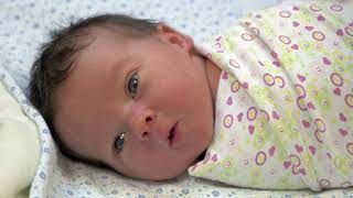 baby nail clippers 20 in 1 by royal angels baby