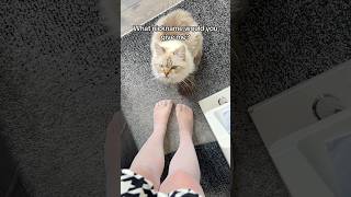 Time To Give My Cat A Nickname