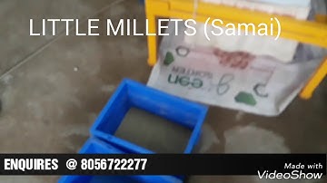 Little millet sorting machine
