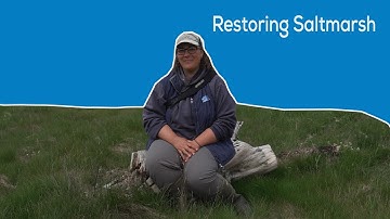 RESTORING SALTMARSH