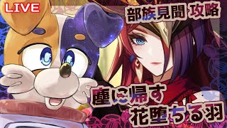 【#原神 】花翼の集の部族見聞を滑り込みでクリアしていくぅ！✨🐕💨  genshinimpact