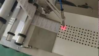Automatic Labeling Machine with Vacuum Conveyor Belt