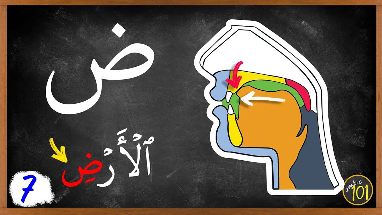 Bu usul bilan har kim ض harfini oson o‘rganadi | Makhorij va Sifaat, 7-dars | Arabic101