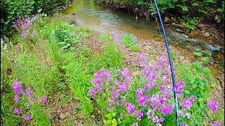 Spin Fishing For Wild Brown Trout After A Thunderstorm (INCREDIBLE RESULTS) #trout #fishing #mepps