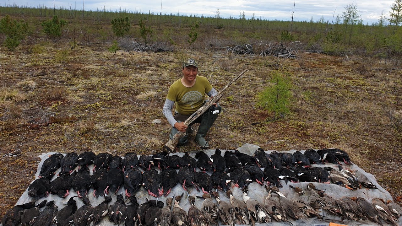 2 серия Охота на утку (турпан) в Якутии Duck hunting of Yakutia Russia