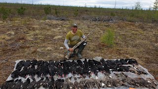 2 серия Охота на утку (турпан) в Якутии Duck hunting of Yakutia Russia