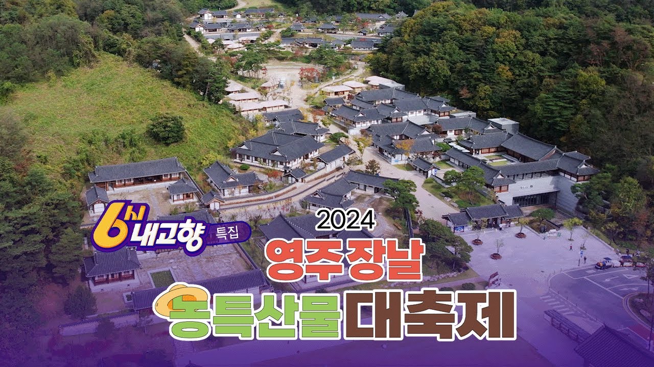 사과·한우· 인삼🧑🏻‍🌾 경북 영주 특산물 다 모인 영주 장날 농특산물 대축제 [6시 내고향] 241101 방송