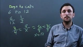 Can You Simplify Proportions? : Solving Math Problems