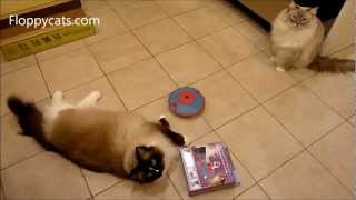 Nina Ottoson Treat Maze Interactive Game for Cats Review screenshot 2