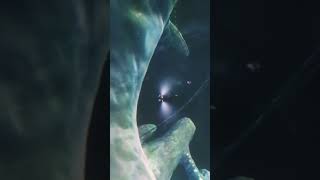 Kripta Planetarium videos (2)