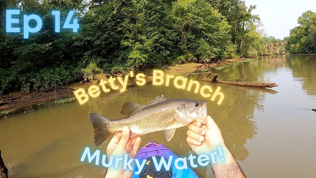 FISHING FOR BASS in MURKY WATER at Betty's Branch YouTube