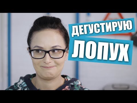 Видео: Пробую закуску из обычного лопуха, ответ Михаилу Вегану / Рецепты и Реальность / Вып. 254