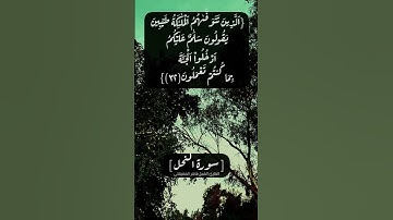 سورة النحل الآية ٣١ الى ٣٣ بصوت الشيخ #ماهر_المعيقلي