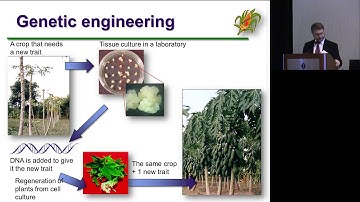 ILSI IFBiC Annual Meeting -- Wayne Parrott