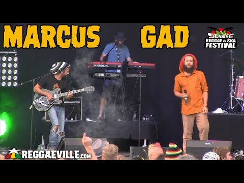 Video: Jak Bude Reggae Festival Na Jamajce