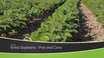 Enlist Soybeans - Pros and Cons (From Ag PhD Show #1175 - Air Date 10-11-20)