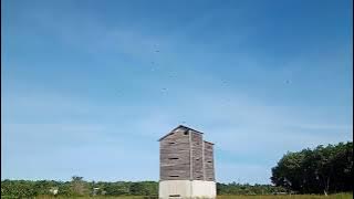 Terbukti sp raja di laut respon di Kalimantan Selatan kotabaru