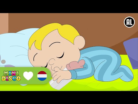 Kinderliedjes | Tekenfilm | Slaapliedje | SLAAP KINDJE SLAAP | Minidisco | DD Company