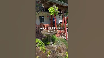 Creative Gutter Solutions #shorts #gutter #construction #raingutter #diy #gutters #roofgutter