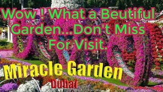 Miracle Garden Dubai-2019 , With Nepali Instrumental Folk Music