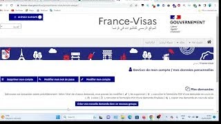 Numéro de référence France-Visas