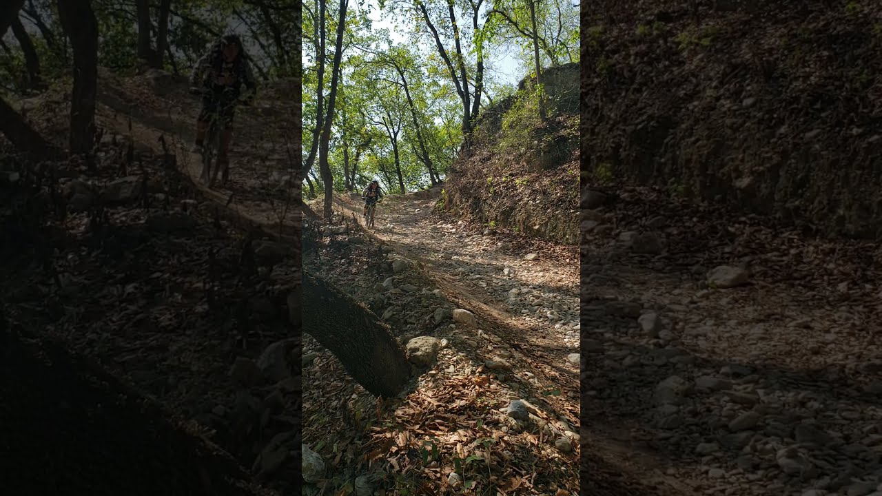 Bosque Encantado. Barrial, Santiago Nuevo León. YouTube