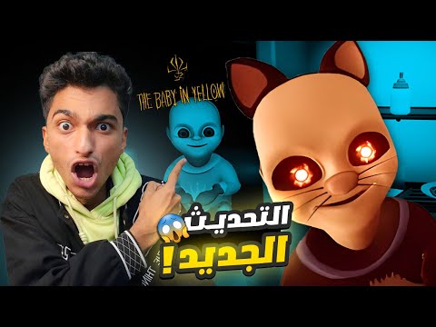 فيديو: 16 الكلاب الذين هم متحمسون جدا للذهاب في نزهة على الأقدام