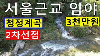 3천만원 서울근교 싼임야 청정계곡 2차선접 건축가 자연인 전원생활 숲야영장+캠핑고기집+림순화+힐링숲6차산업 약용재배 방목 임업직불금 땅과함께(새희망을)경매임야 공매임야 나도땅주인