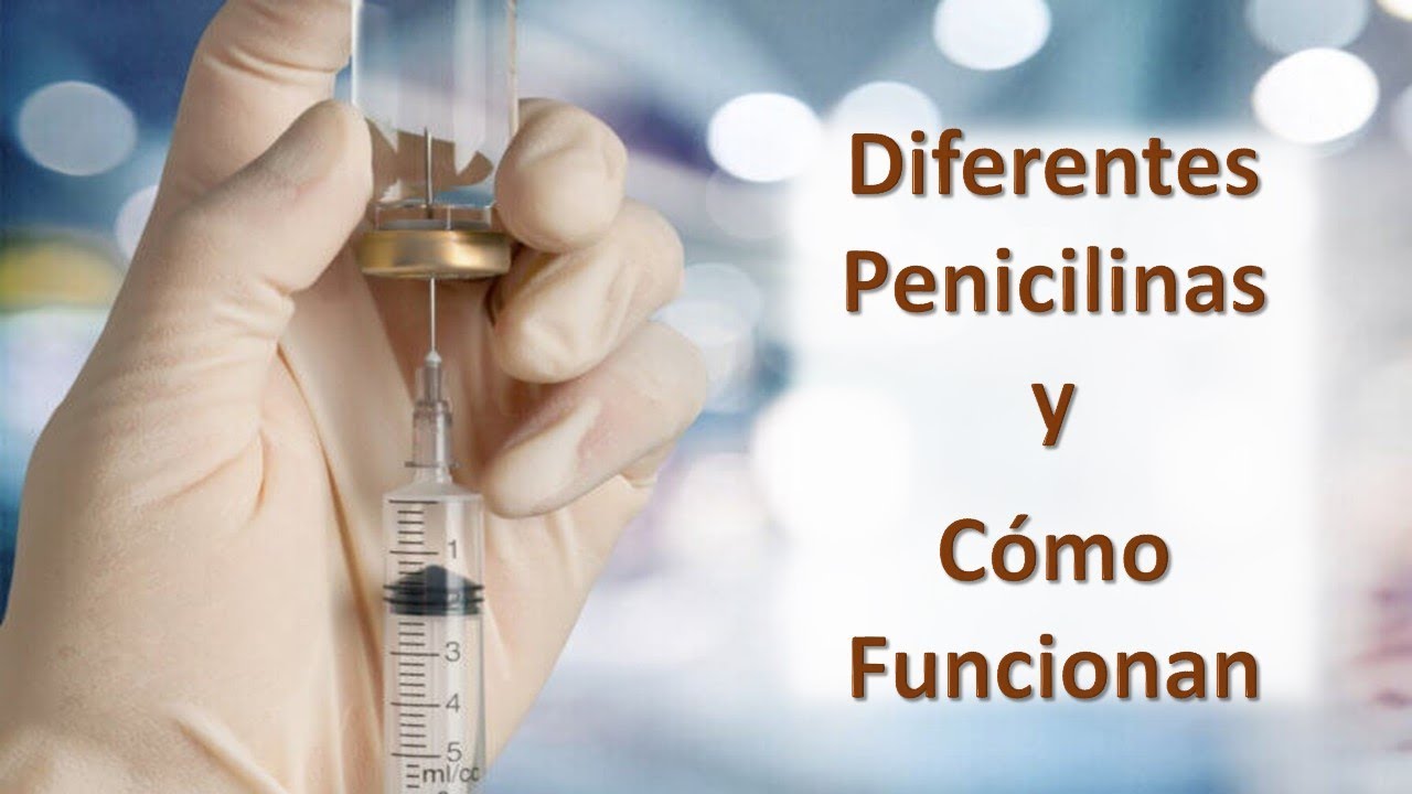 Cuanto tarda en recuperarse las defensas después de tomar antibióticos