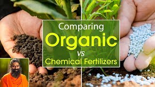 Comparing Organic VS Chemical Fertilizers | Swami Ramdev screenshot 1