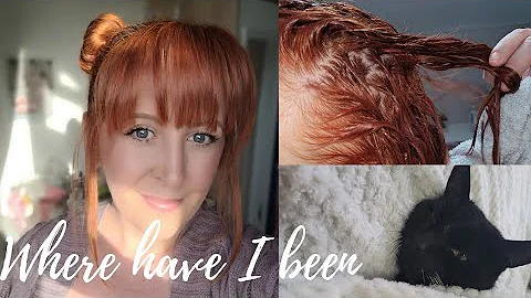 LIFE UPDATE AND WHERE I HAVE BEEN - COVID, SICK CA...