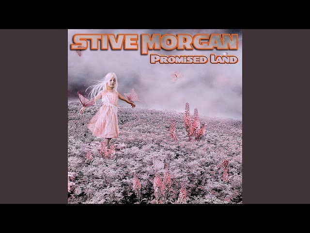 Stive Morgan - Vicious Circle