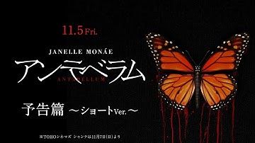 11/5（金）公開！『アンテベラム』予告篇＜ショートVer.＞