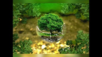 science videos.....7th standard ...worksheet - 3... Tamilnadu bridge course material answers...