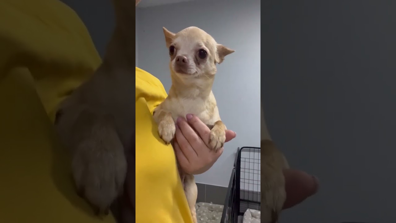 8 уникальных историй в Домике мелкашей