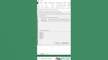 How to seperate text from column in excel | Text to column feature