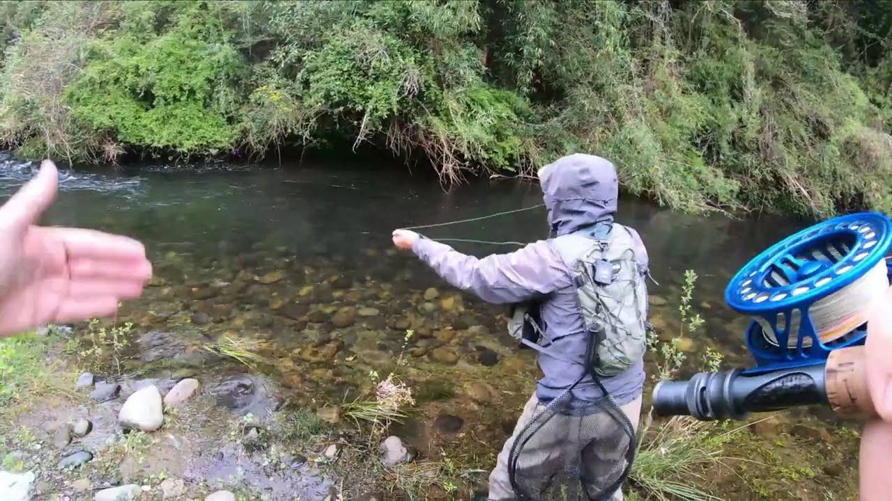Pescando un pequeño río de aguas de manantial
